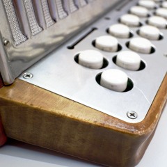 Fasten the Leg in Her / Gallagher's Frolics / Woodford Jig