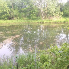 Audriukas - Love Around Us