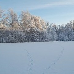 Die Entdeckung der Freude im Schnee (2014) (excerpt)
