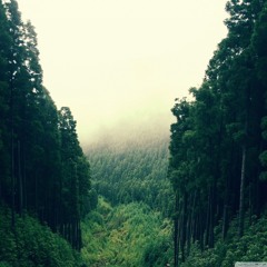 Alusi Au (Pianika Cover)