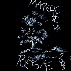 02 Marche De La Poésie 2003