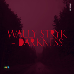 Wally Stryk - Darkness (original) [Fantastic Friends Recordings]