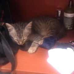 My Heart Will Go On (Chris Lost & Found Edit)