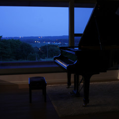 Liszt Hongaarse Rapsodie Nr. 12 - Tom Hermans (piano)