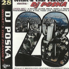 DJ Poska - What's The Flavor Vol. 28 (1997)