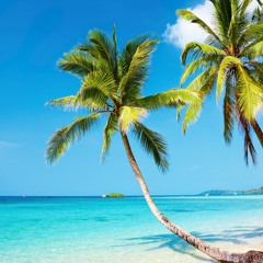 Hot Tropic