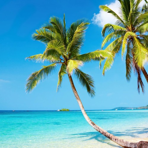 Hot Tropic