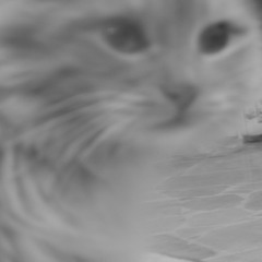 Las Teclas De Andrea Legarreta