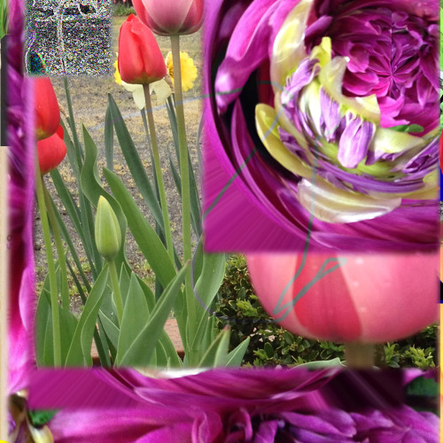 Stream Thimble by Mr. Andrew's Garden Listen online for free on