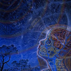 Living Waves ~ Animatina (Darkpsymix2015).WAV