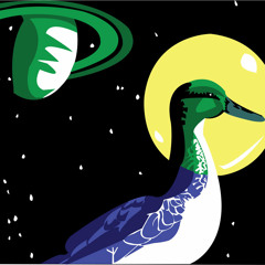 Mr Kropp - Interstellar Duck