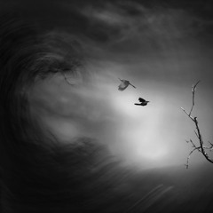 Penumbra (Dark Ambient)