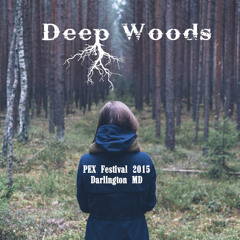 Deep Woods Live - PEX Festival 2015