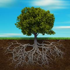 07-05-15 Rooted & Grounded In The Truth