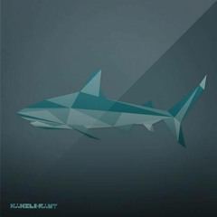 Ray Kajioka - Thrill (Original