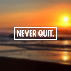 Never Quit (Prod. Erik)