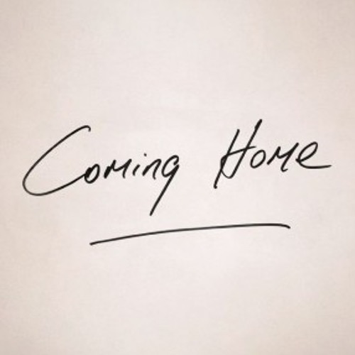 Coming Home ( the hertz & the reset)