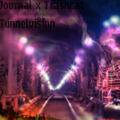 Tunnel/Vision (journal x trashcat)
