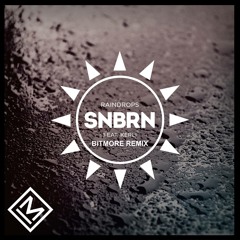 SNBRN - Raindrops (BiTMORE Remix)