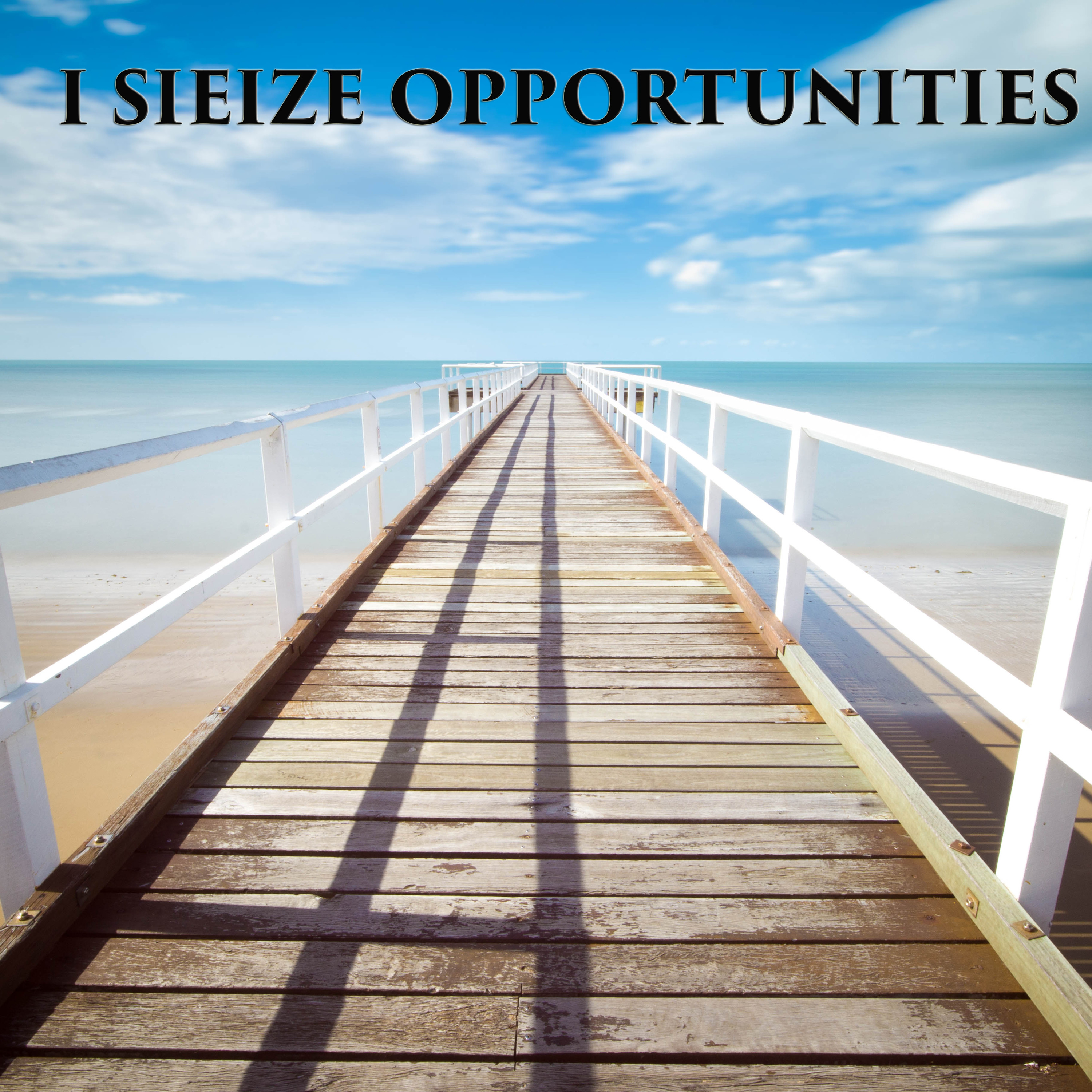 I Seize Opportunities - Mp3 episode artwork