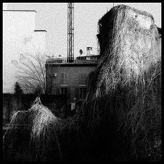 Artificial Day - Nous T'aimons Beaucoup