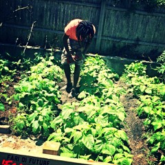 FARI DIFUTURE - FARMER MAN