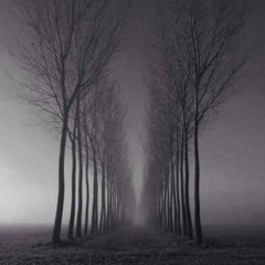 Andrei y Aaron-Burgers ( Original Mix)