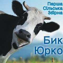 ПСЗ - Бик Юрко
