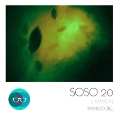 Lemmon - Panvogel (Miyagi Remix)- OUT NOW