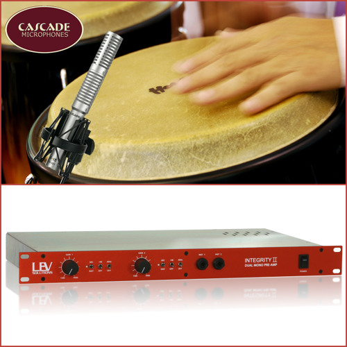 Stream Congas INTEGRITY II with a Cascade X15 microphone by Lev