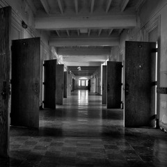 Songs for a Madman and his Cuckoo