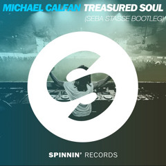 Michael Calfan & Ummet Ozcan- Treasured Soul And Lose Control (SEBA STASSE Mashup)