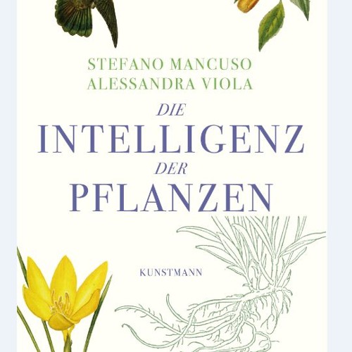 Stream Die Intelligenz der Pflanzen (Stefano Mancuso und Alessandra Viola)  Rezension: Michael Lange by Dlf Wissenschaft | Listen online for free on  SoundCloud