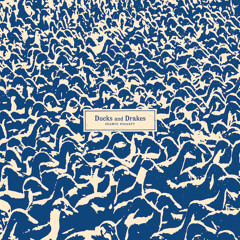 Seamus Fogarty - 'Ducks & Drakes'