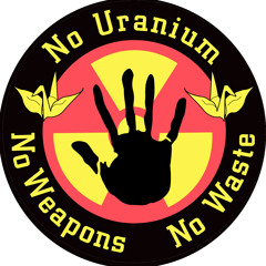 Turtle - Nuclear