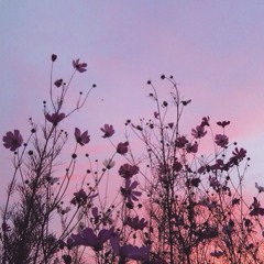 Jhene Aiko - Eternal Sunshine (cover)