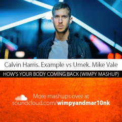 Calvin Harris ft Example vs Umek & Mike Vale - How's Your Body Coming Back (Wimpy Mashup)
