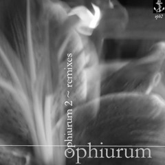 Ophiurum - 4 (Protyv Remix)[oph2]