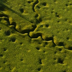 There Was a Battle Here