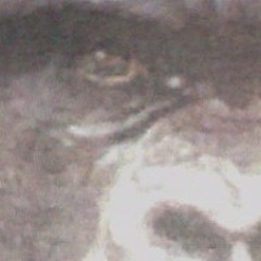 Life:Feels So Good Mix