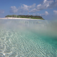 New private playlist