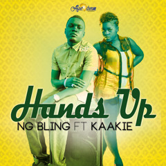 Ng Bling-Hands Up- feat Kaakie