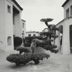 Rough Quarters EP [Tenderpark Records]