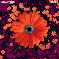 Steady Sun - Irises