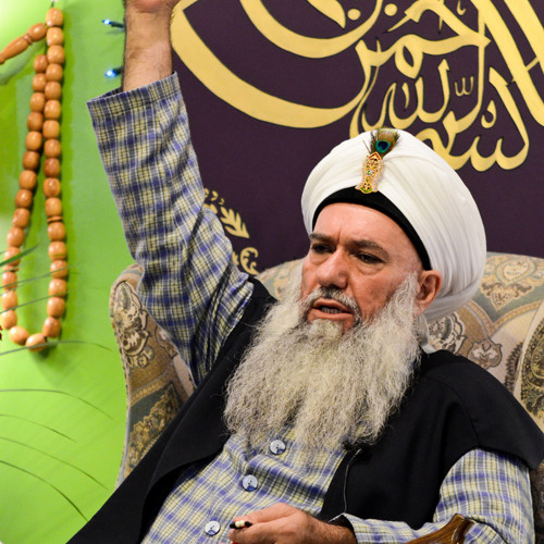 Ular suratlarimni eshagimga solib qoyishadi