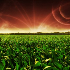 Graphic By Nature (Concept)