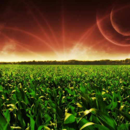 Graphic By Nature (Concept)