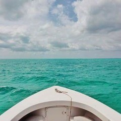 مركب ورق  شيماء طارق
