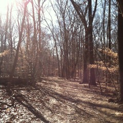 Hope is the thing with feathers