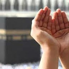 إبتهال ( أين المَفَر) كلمات أحمد نجيب ... إبتهال أحمد العمري